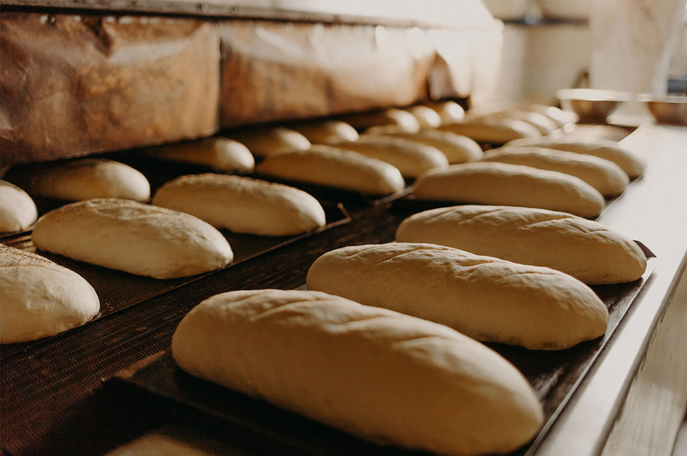 Client Case Study: Alasya